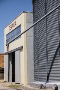 Giuseppina Vagati-7521