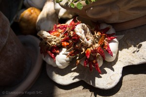 Giuseppina Vagati-7550