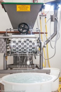 Salvatore Calcagno-1533