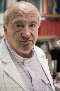 daniel alvarez s4c-20